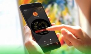 Đề xuất nợ thuế từ 10 triệu đồng trở lên bị hoãn xuất cảnh