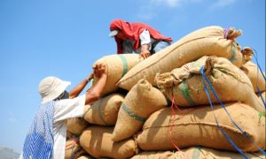 Việt Nam nhập khẩu 3,2 triệu tấn gạo, nhiều thứ 3 thế giới