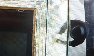 Công an Tiền Giang bắt 2 thanh niên dùng búa cướp tiệm vàng