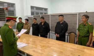 Phát hiện cơ sở sản xuất giá đỗ bằng hóa chất cung ứng cho một siêu thị