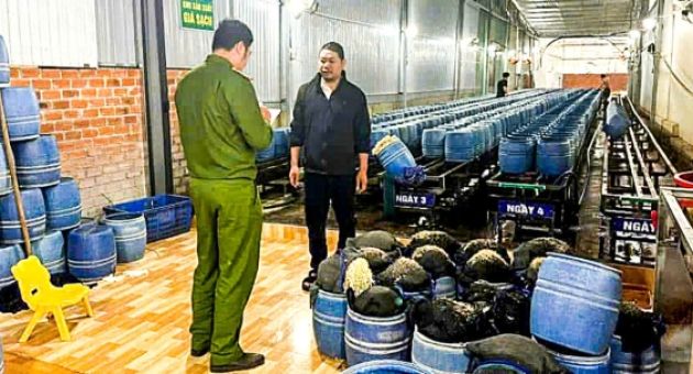 Chủ cơ sở ngâm giá đỗ bằng chất cấm nói do 'cạnh tranh với thị trường'
