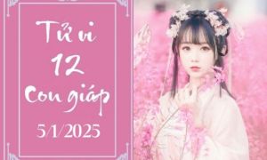 Tử vi 12 con giáp hôm nay ngày 5/1/2025: Tý thuận lợi, Dậu phát triển