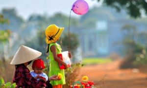 Bâng khuâng chiều cuối năm: Bao nhiêu năm theo dòng đời đua chen, thiếu quê...