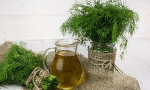 Loại gia vị quen thuộc giúp giảm mùi tanh, cực tốt cho thận chợ Việt nào cũng có