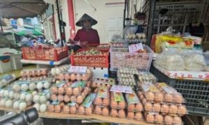 Giá trứng gà ở Việt Nam giảm sâu, sao không xuất khẩu sang Mỹ?