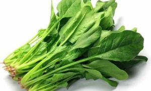 Loại rau ăn càng nhiều, mắt càng sáng