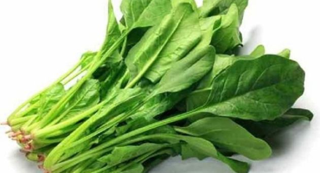 Loại rau ăn càng nhiều, mắt càng sáng