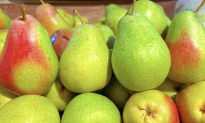 5 rau quả giàu vitamin C phòng ung thư