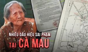 Lão thành cách mạng tố bị chiếm đất, nơi từng nuôi giấu Tiểu đoàn 307