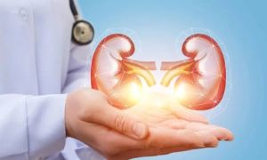 Trung Quốc ghép thành công thận heo cho người, mang lại hy vọng cho hàng triệu...