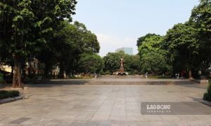 Phản đối đề xuất chặt cây cổ thụ ở Hồ Gươm để xây giàn nhạc nước!