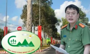 Chủ tịch Công ty Cây xanh Công Minh bị khởi tố, truy nã