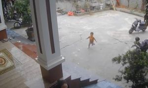 Nhanh trí cứu được bạn rơi xuống hố, bé trai 3 tuổi nhận 'mưa like'