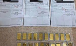 Vợ chồng Việt kiều lừa đảo tiền tỷ