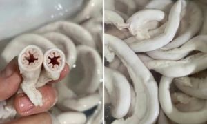 Lòng se điếu chợ không có, trên mạng bán đầy, giá rẻ hết hồn