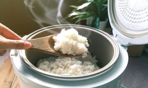 Cách bảo quản cơm nguội của người Nhật