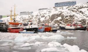 Greenland bất ngờ giáng đòn vào ông Trump bằng một thỏa thuận béo bở