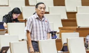 Viện dẫn vụ án Trương Mỹ Lan, đại biểu đề nghị không bỏ tử hình tội tham ô tài...