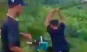 Nam sinh ở Bình Định bị nhóm bạn đánh dã man dù đã quỳ gối xin tha