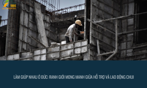 Làm giúp nhau ở Đức: Ranh giới mong manh giữa hỗ trợ và lao động chui