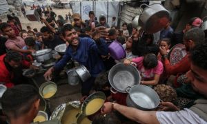 Đức: Không thể biết hàng viện trợ cho Dải Gaza rơi vào tay ai