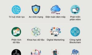 Các kỹ năng công nghệ được săn đón nhất 2025