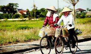 Những người gốc Hà Tĩnh mà tôi từng gặp, chưa bao giờ phân biệt họ