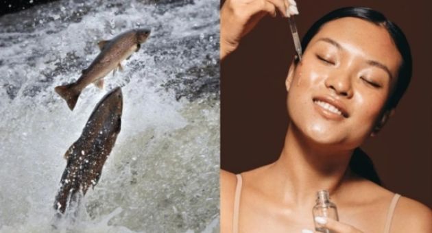 Sự thật về làm đẹp da bằng 'tinh trùng cá hồi'