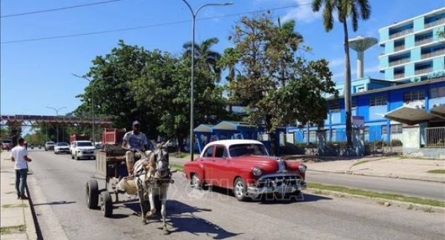 Cuba đối mặt làn sóng