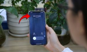 Nghe cuộc gọi có nội dung này, hãy tắt máy ngay lập tức