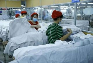 Xuất khẩu vào EU: Doanh nghiệp Việt cần chủ động thích ứng với “luật chơi” mới