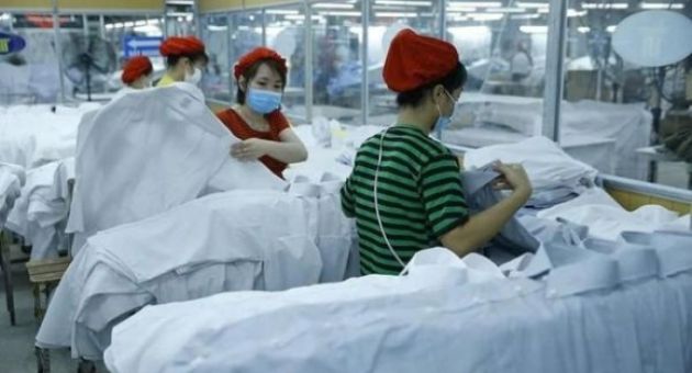 Xuất khẩu vào EU: Doanh nghiệp Việt cần chủ động thích ứng với “luật chơi” mới