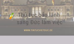 Bảo lãnh người Việt sang Đức làm việc theo hợp đồng 3 năm?
