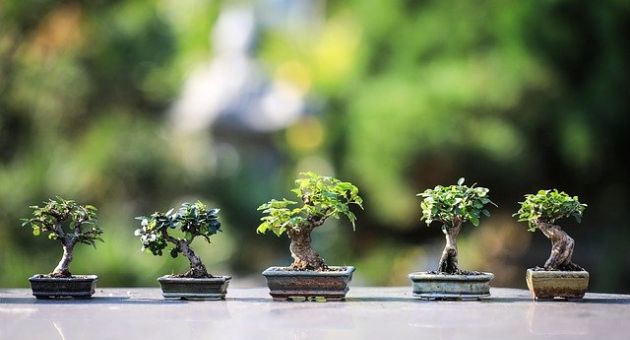 Tử vi 12 cung hoàng đạo Thứ Sáu ngày 11/4/2025: Xử Nữ tài lộc rủng rỉnh