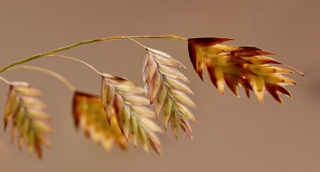 Đúng 50 ngày tới, 3 con giáp được trời thương, đón song hỷ tới nhà, ĐỔI VẬN...