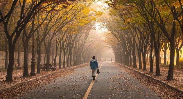 Tử vi 12 cung hoàng đạo Thứ Ba ngày 15/4/2025: Bảo Bình tình cảm phát triển